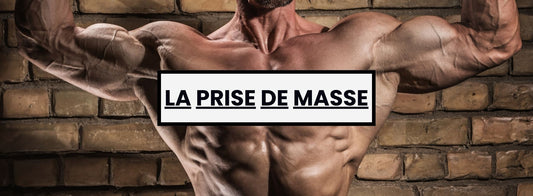 Prise de masse : Comment prendre de la masse en musculation ?